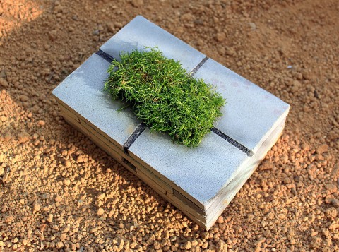 stoneplanterwithscotchmoss
