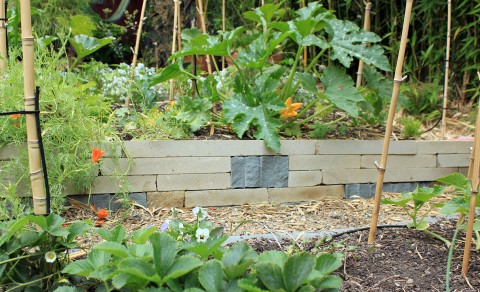 veggiebed2July2012
