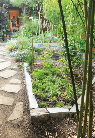 veggiebedJuly2012