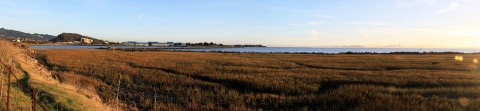 baytrailpanorama