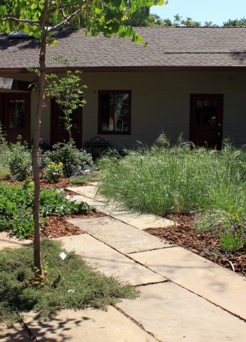 mohrgarden2