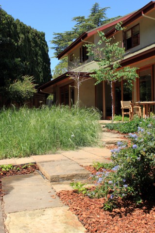 mohrgarden3