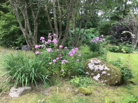 DryStoneGarden Blog Archive Peter Korn s Old Garden